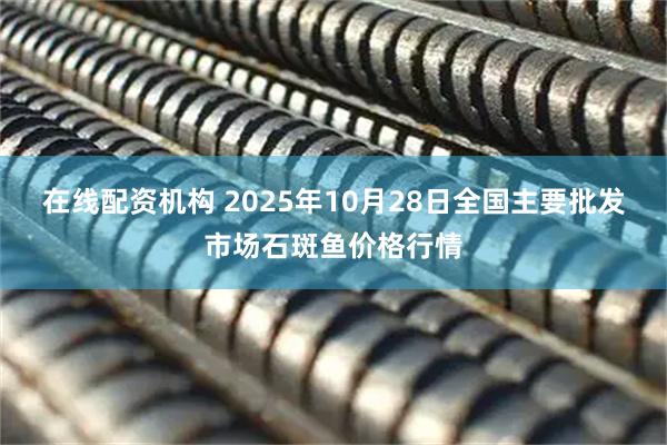 在线配资机构 2025年10月28日全国主要批发市场石斑鱼价格行情