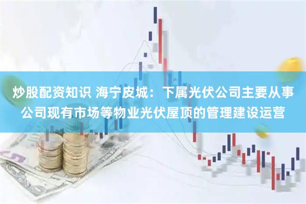 炒股配资知识 海宁皮城：下属光伏公司主要从事公司现有市场等物业光伏屋顶的管理建设运营