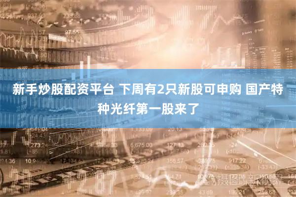 新手炒股配资平台 下周有2只新股可申购 国产特种光纤第一股来了